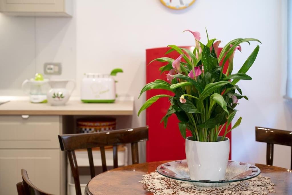 Casa Bouganville - St. Peter Romantic Apartment Luaran gambar